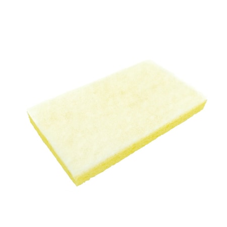 Sponge With Backing Pad  White